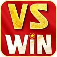 LOGO vswin