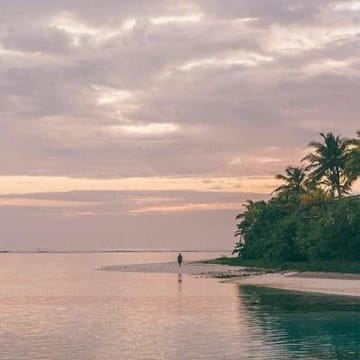 Ảnh đại diện người dùng Anika